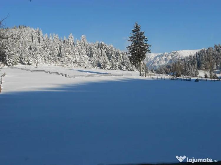 Vand teren intravilan Fundata 5200mp - 4