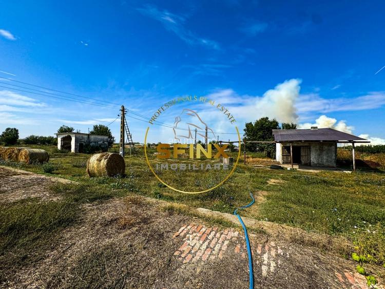 Chiselet, Calarasi, teren intravilan 62000 mp, ferma, logistica, depozitare Chiselet, Calarasi, teren intravilan 62000 mp, ferma, logistica, depozitare