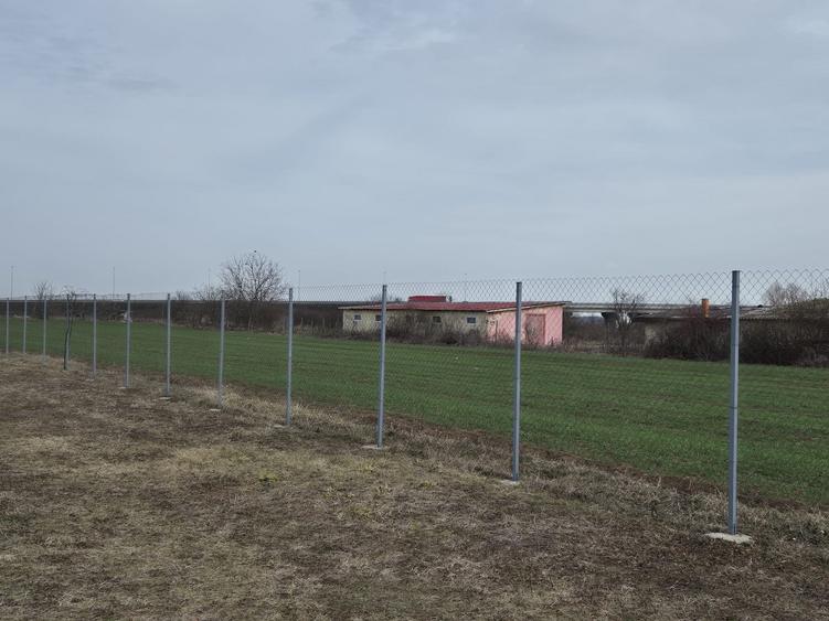 Caciulati, vanzare casa 3 camere la rosu, 1.000mp teren - 9