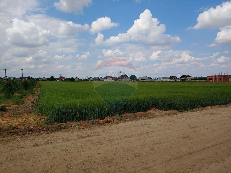 Teren intravilan 6,600mp Dumbraveni / Strada Principala spre Veresti - 11