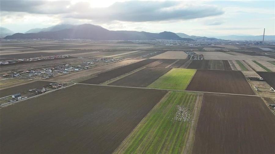 Loturi de vanzare cu PUZ, 500 mp, Izvor, Brasov - 5