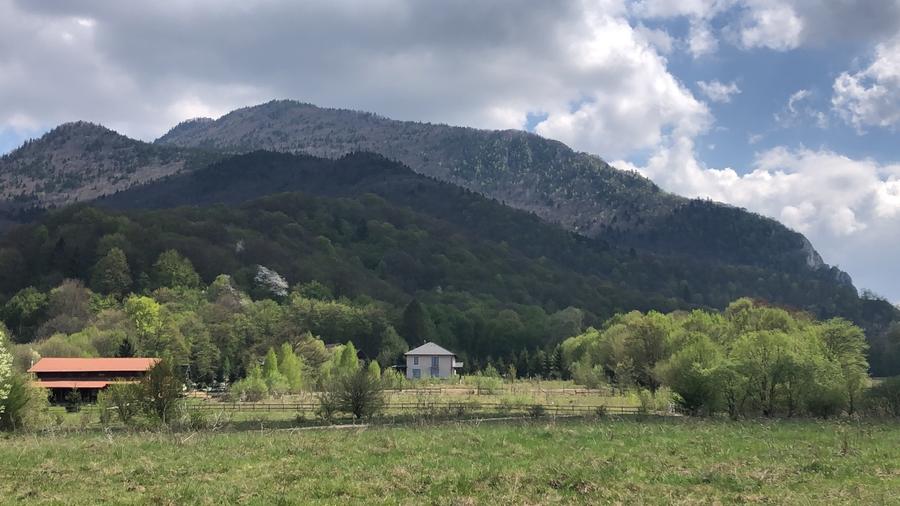 Avantajos casa in suprafata de 320 mp - 10