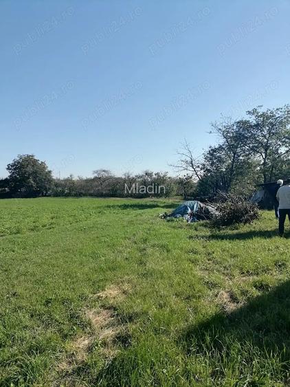 1500 mp teren intravilan Negresti 1500 mp teren intravilan Negresti