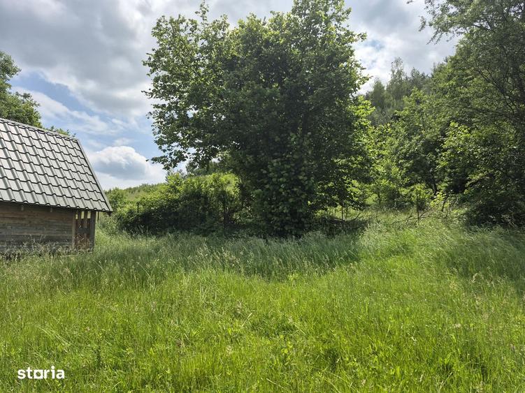 Casa de vacanta in constructie, teren 5600 mp - 7