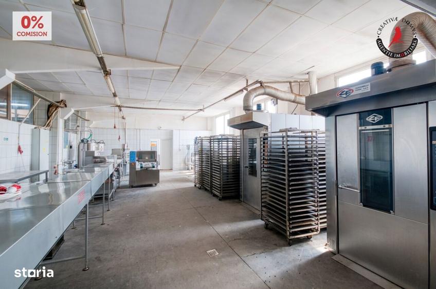 Vanzare fabrica de napolitane si dulciuri - jud. Giurgiu - 9