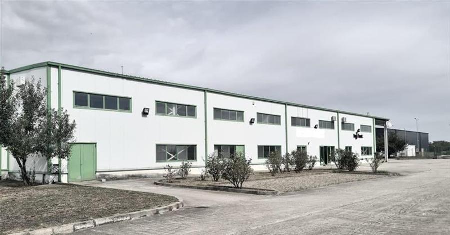 Hala industriala cu depozit Frigo, 3650 mp , Timisoara NORD - 1