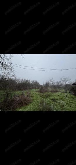 Teren vanzare + constructie 2499 mp electricitate+apa - 1