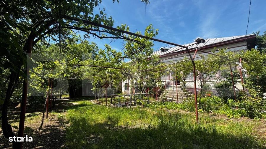 Proprietate cu 2 case, 3.345 mp teren, Balota de Jos, comuna Murgasi - 7