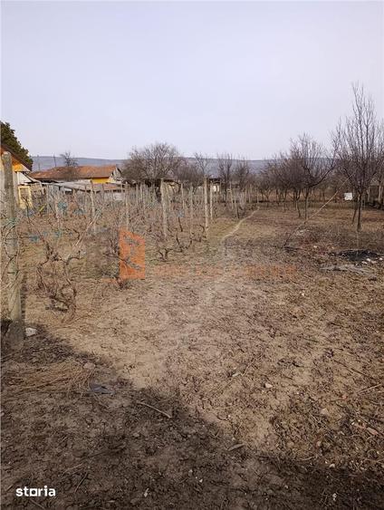 Casa tip parter zona Ulmeni - 11