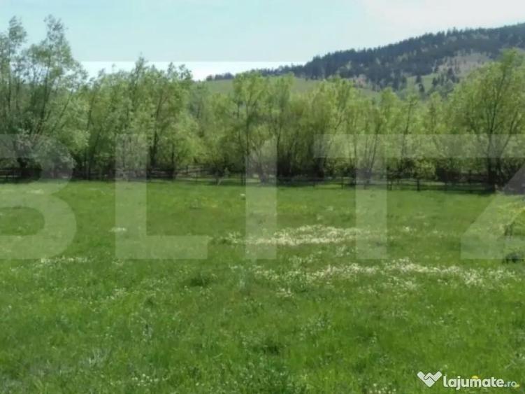 Teren intravilan de vanzare, 1921 mp, zona Vama, Suceava - 3