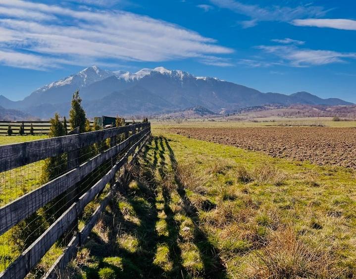 Teren intravilan Râșnov – Glejerie  5 parcele x 1000 mp  Capăt Str. Greierilor - 7