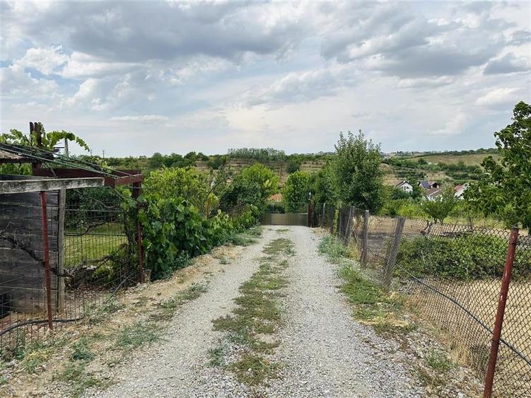 CASA P+M | TEREN 2200 MP | STRADA SOFIEI | ZONA DEALURI - 5