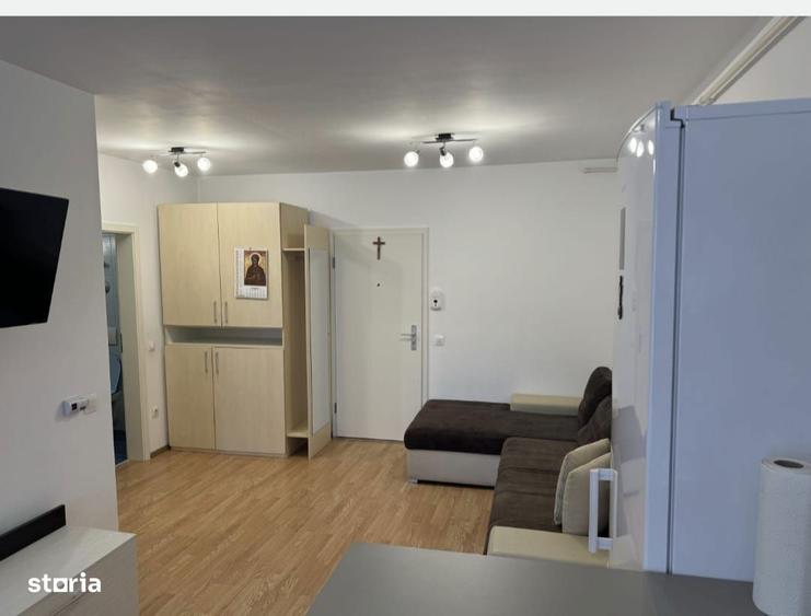 Apartament 2 camere tip studio, pet friendly Avantgarden 3 - 3