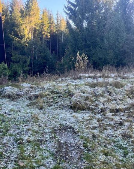 Teren intravilan, 20000 mp, zona Manastirea Humorului - 2