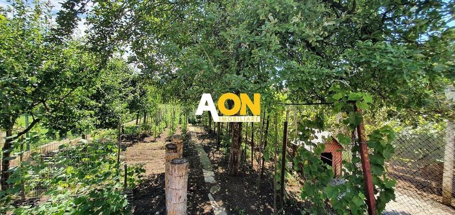 Casa cu 4 camere, garaj, teren 791 mp, zona Schit - 3