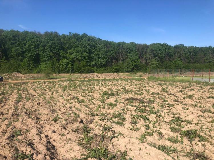 Teren Construcții intravilan de 592 mp, în Cosoba