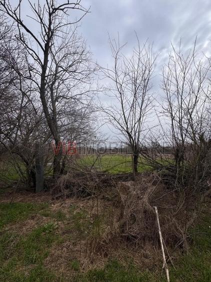 Teren intravilan de 423 mp, în Jilava