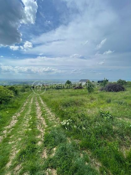 Teren agricol extravilan de 952 mp, în Bucium