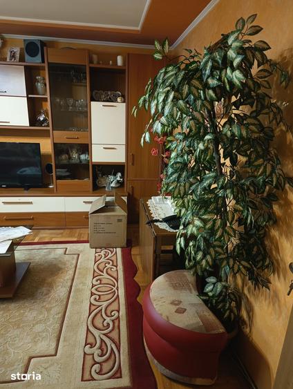 Apartament cu 3 camere decomandat în Banat