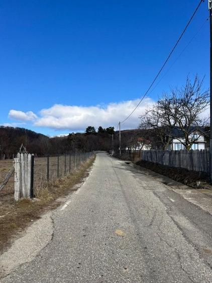 Teren agricol extravilan de 1542 mp, în Cicănești