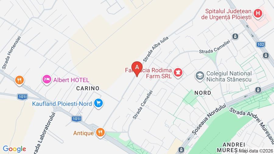 Vila cu 3 apartamente  la parter,etaj  si mansarda - 17