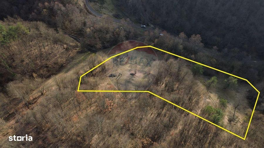 Poiana pentru cabana de vanzare intravilan Coas - 7