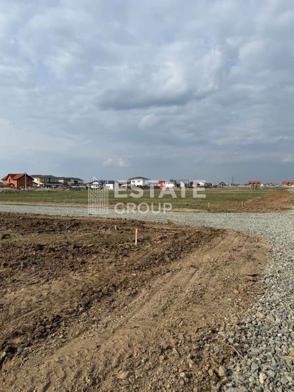 Mosnita Noua, front stradal 22 ml - 2