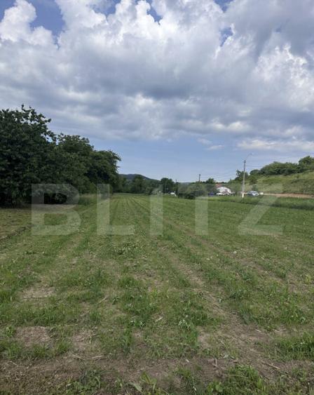 Teren intravilan, 5.800 mp, zona Ca?cau - 3