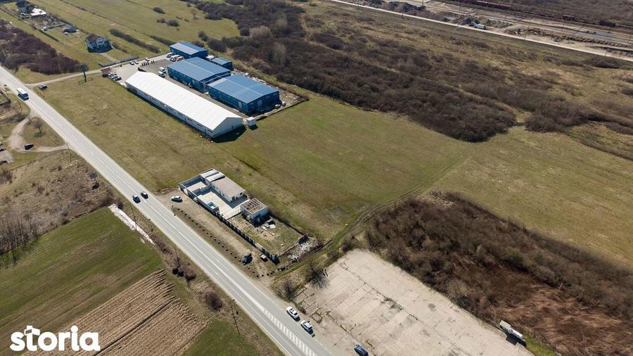 Teren extravilan de 7.000 mp langa Paltini? - 10