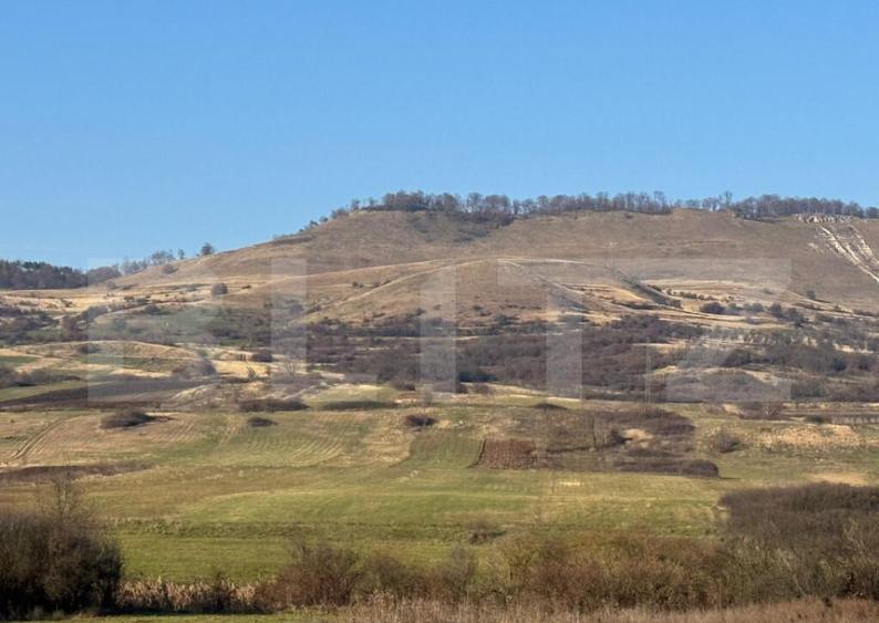 5 terenuri extravilane agricole cu suprafata totala de 13.37 - 9