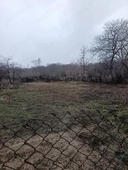 Vand casa Perieni - 9