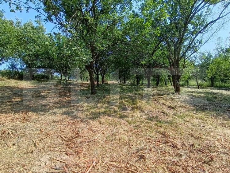 Casa cu 2 camere, 250 mp, zona sud-est - 4