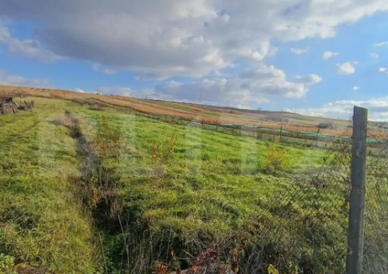 Teren extravilan, 7800 mp, intrare in ?imleu Silvanie - 1