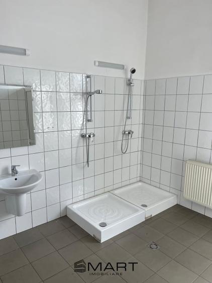 Spatii de inchiriat &acirc; Depozitare | Productie | Birouri Cisnadie - 6