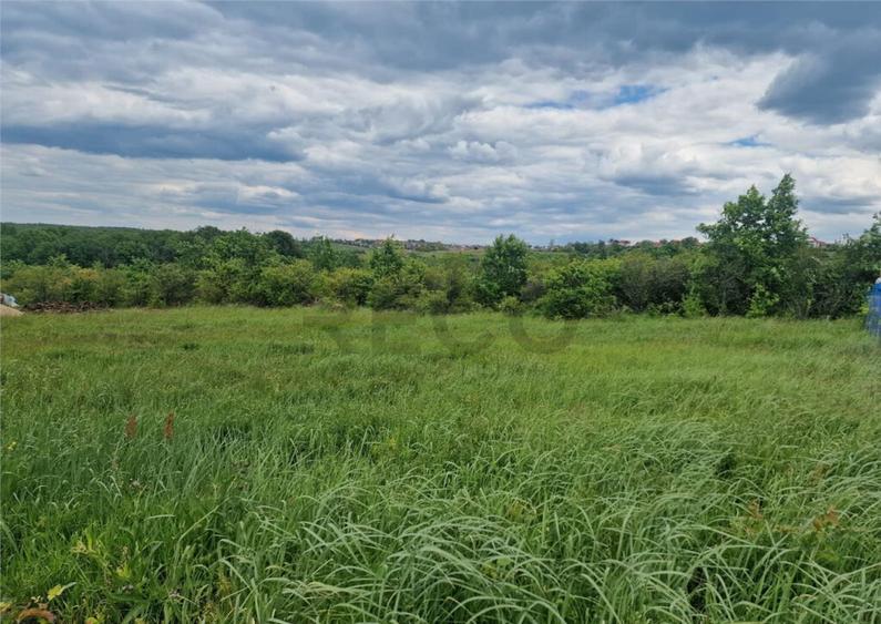 RECO teren intravilan Saldabagiu de Munte - 4