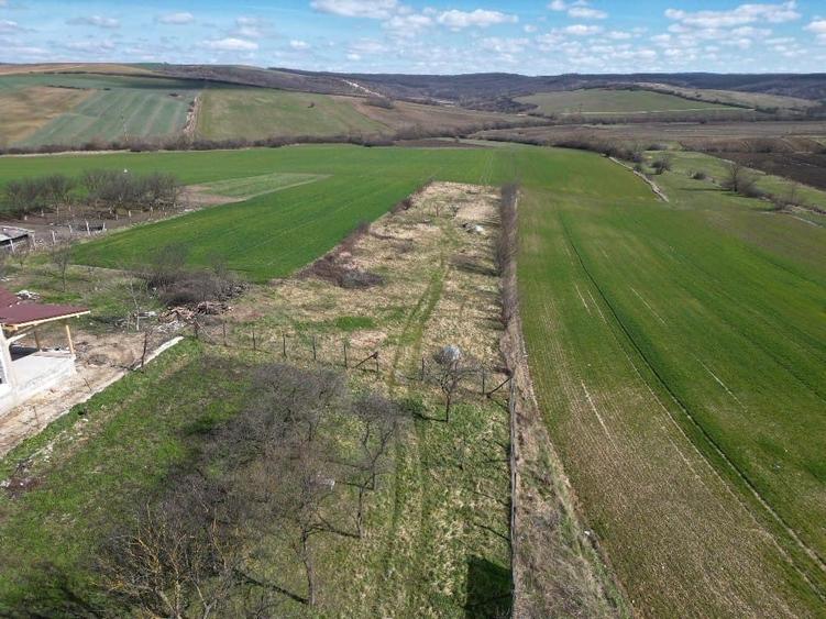 Vand teren santelec - 2