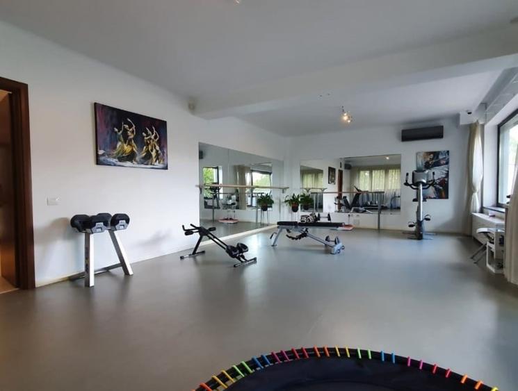 Vila S+P+3E, teren 470 mp, 1000mp ,  Kiseleff - 10