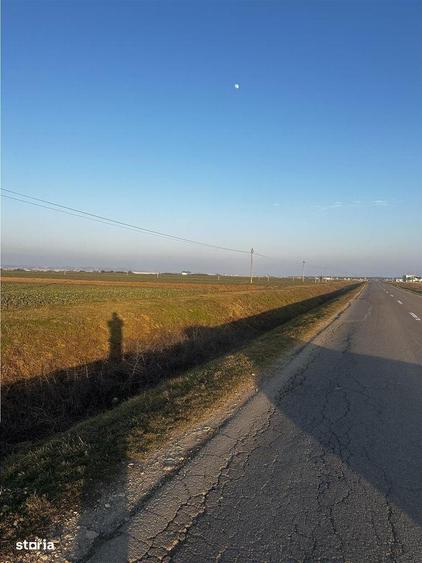 Teren Industrial Oradea spre Livada - 3