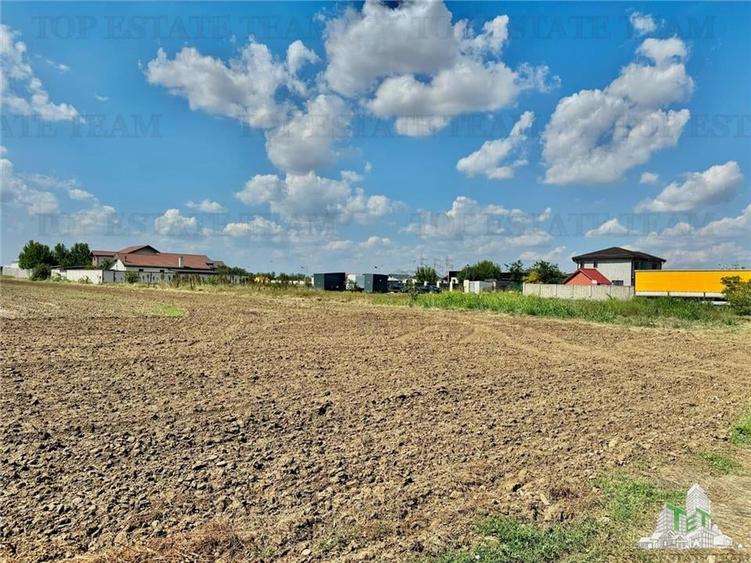 Oferta speciala luna aceasta  / Teren de vanzare / 2500 mp in Frumusani - 1