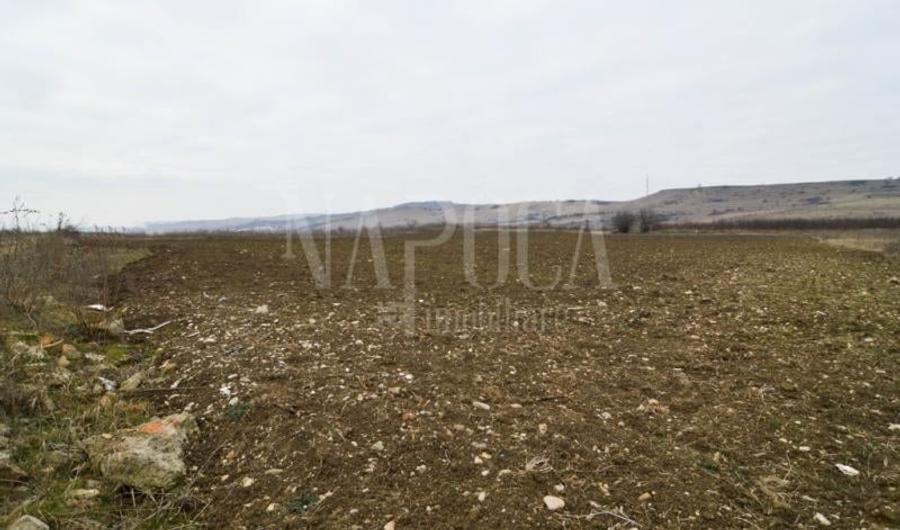 Teren intravilan industrial de vanzare in Iris, Cluj Napoca - 3