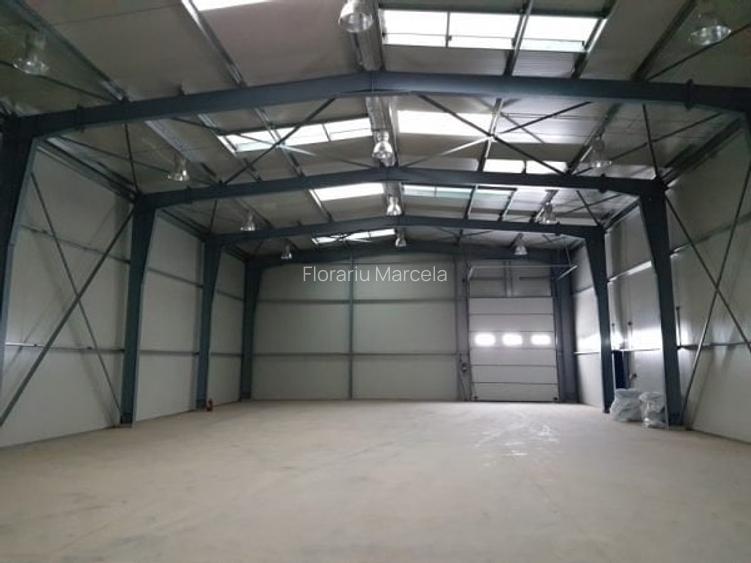 Service auto si birouri zona Pacea