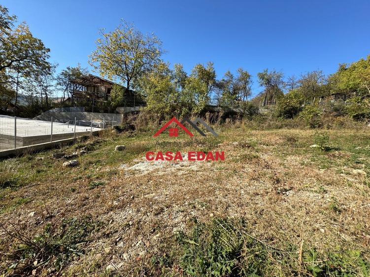 ●Teren in Cornu,Ph,500m--26.500e● - 6