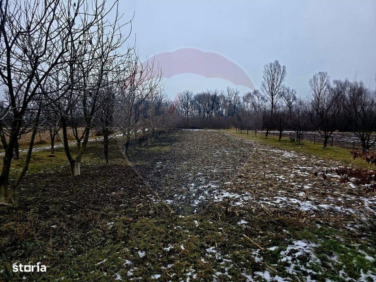 Teren intravilan 4,516mp Doina - 3