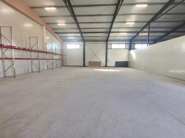 Hala Mosnita Noua 300 mp/5 euro+ TVA - 1