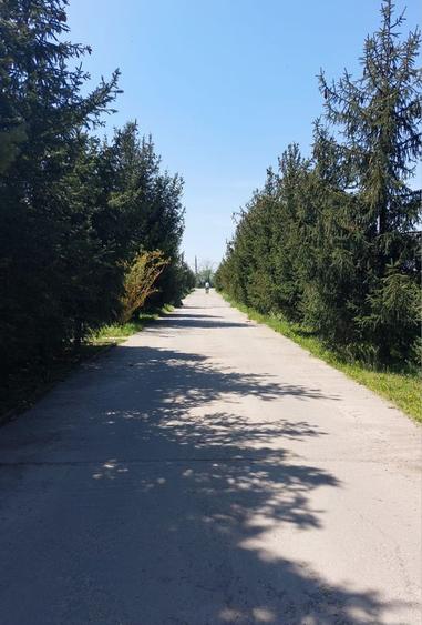 Lot teren Otopeni 607 mp - 1