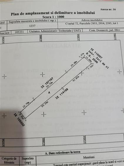 Domnesti ,teren intravilan - 5