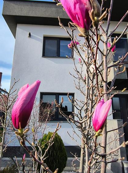 Casa moderna de vanzare design contemporan, complet utilata - 8