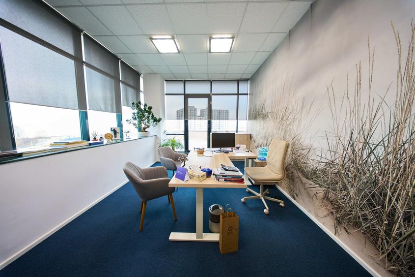 Birouri cu depozit de închiriat - 37