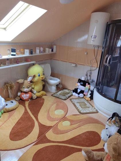 Cabana de lemn in zona turistica Bihor - 5