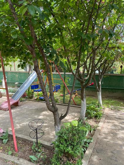 Casa 8 Camere Snagov (INCHIRIERE 2500 EURO) - 14